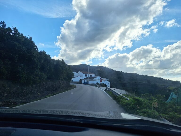 more winding road and homes