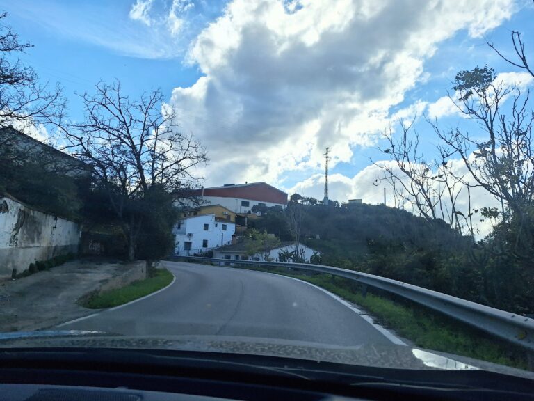 winding narrow road and homes